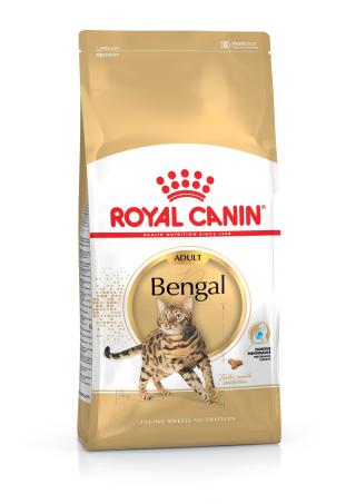 Bengal